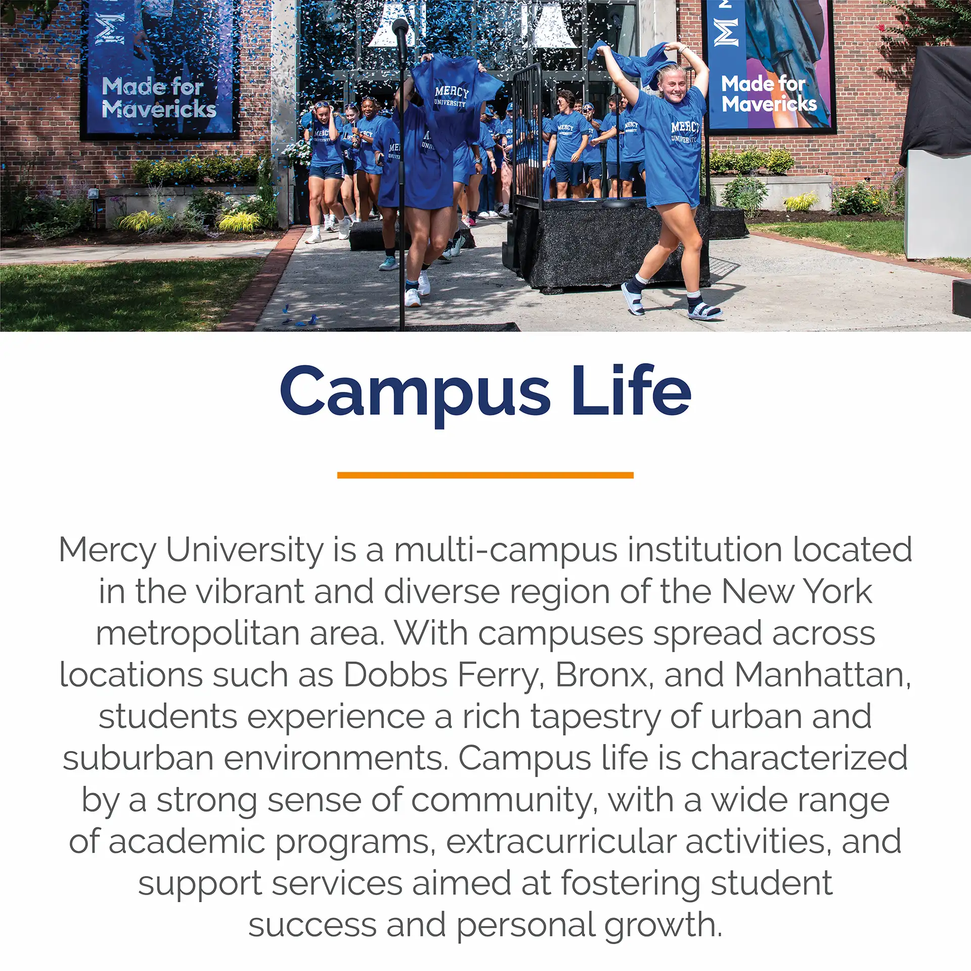 Mercy Mobile Scroller-25