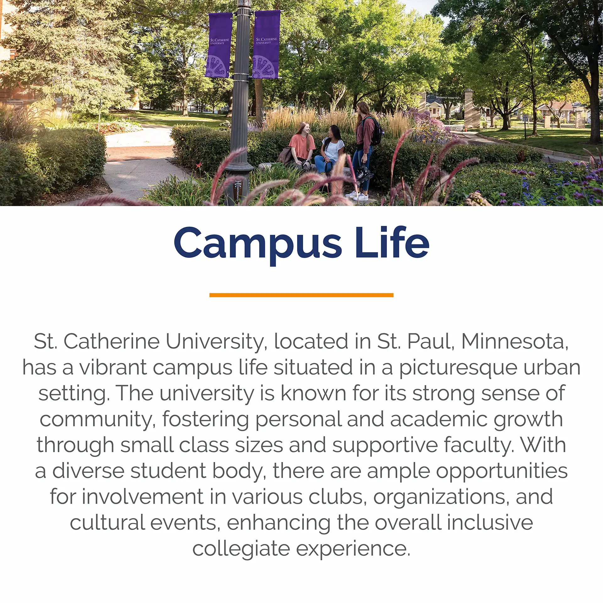 St. Catherine Mobile Scroller-19