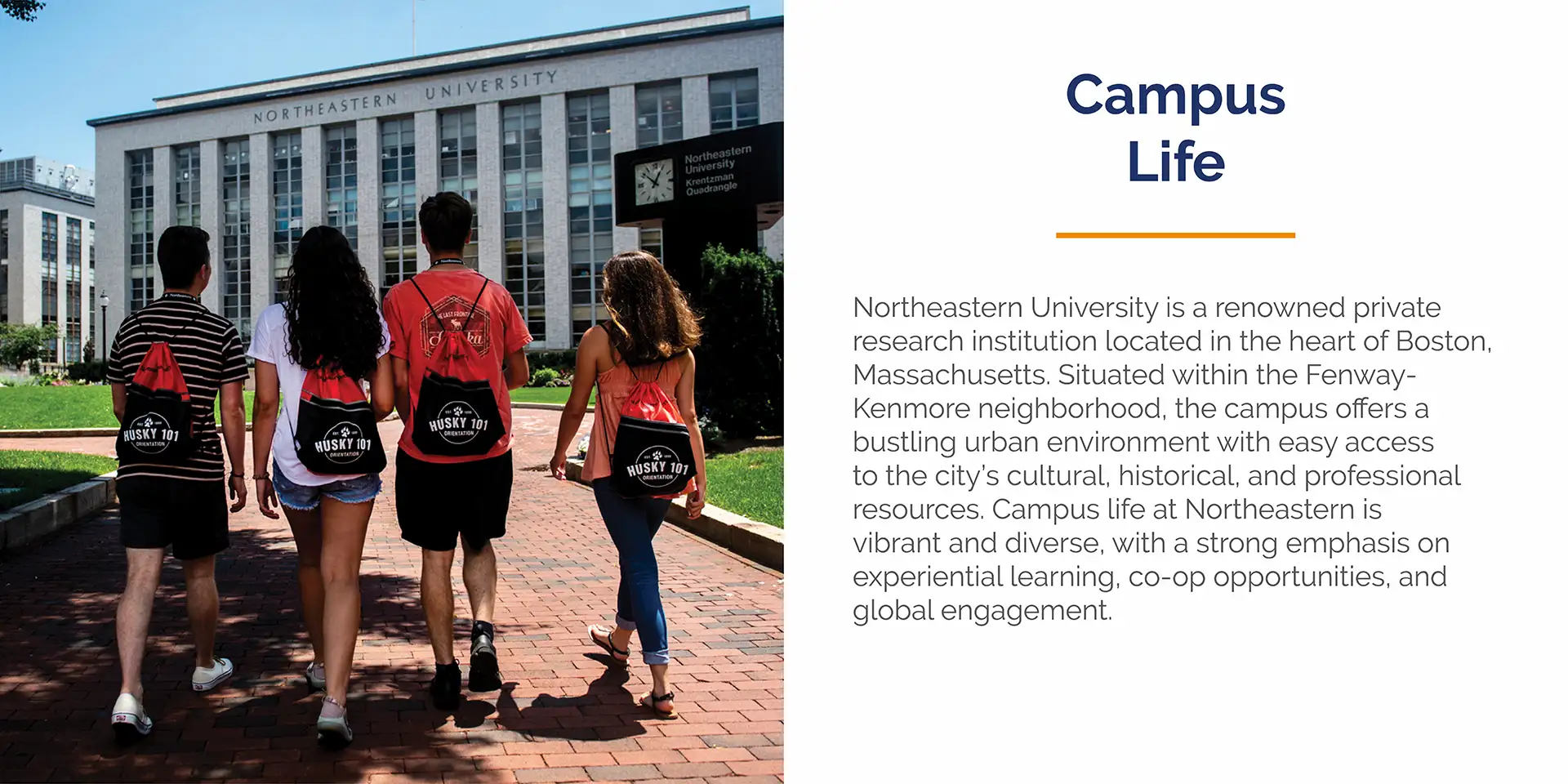 Northeastern Scroller-