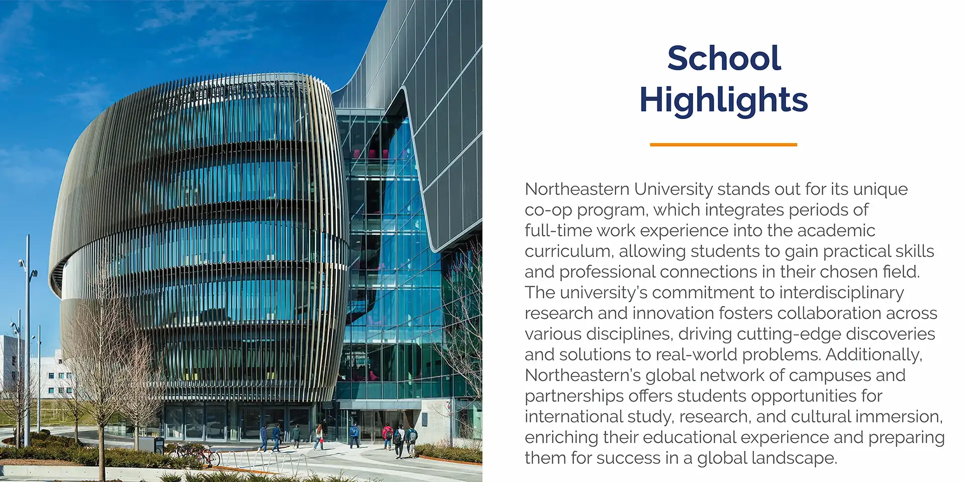 Northeastern Scroller-2