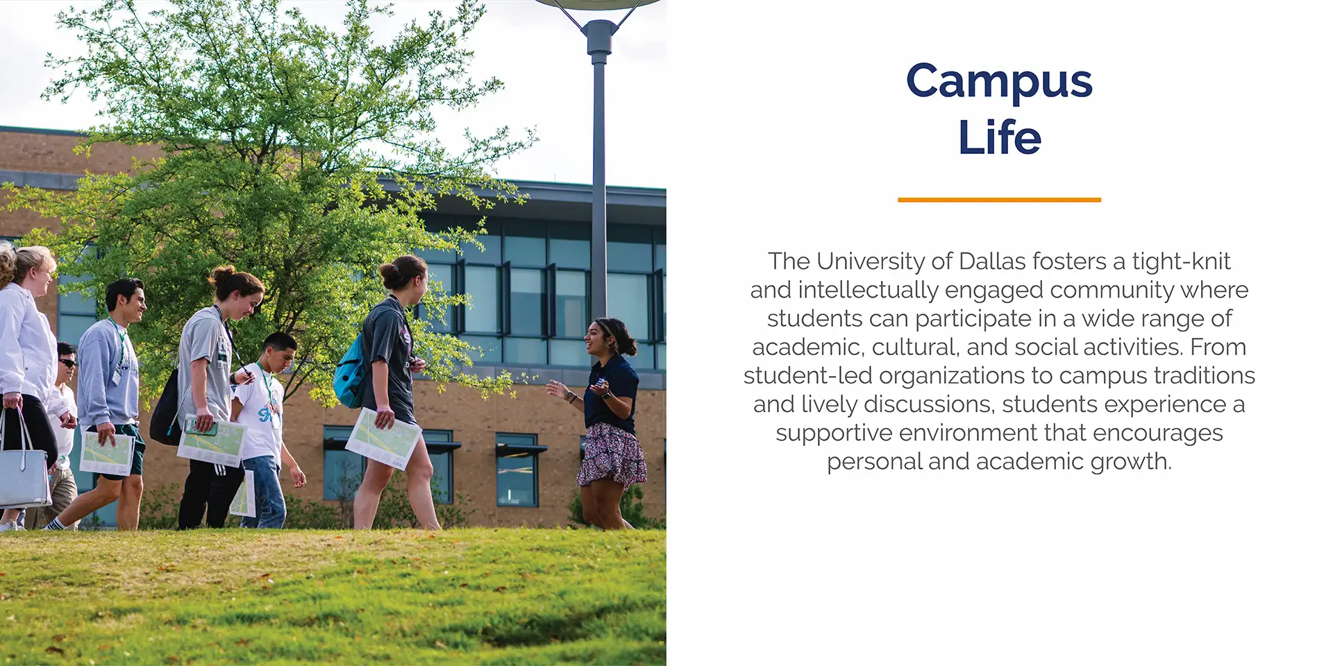 Dallas Desktop Slider-