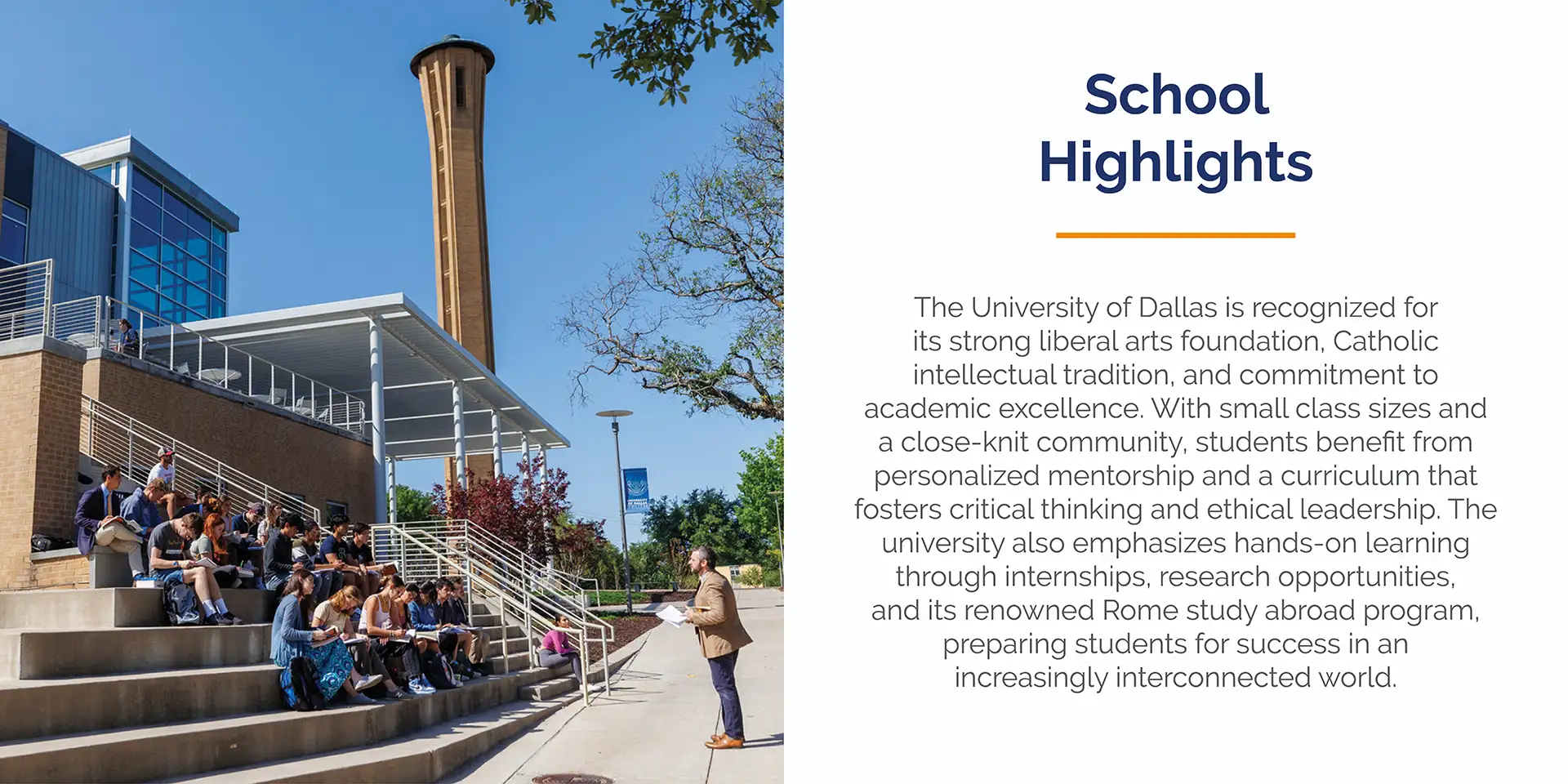 Dallas Desktop Slider-2