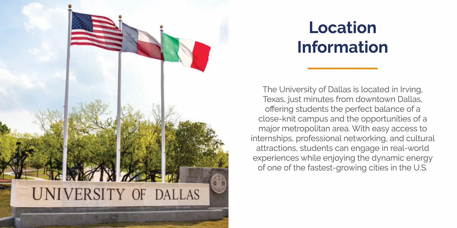 Dallas Desktop Slider-3