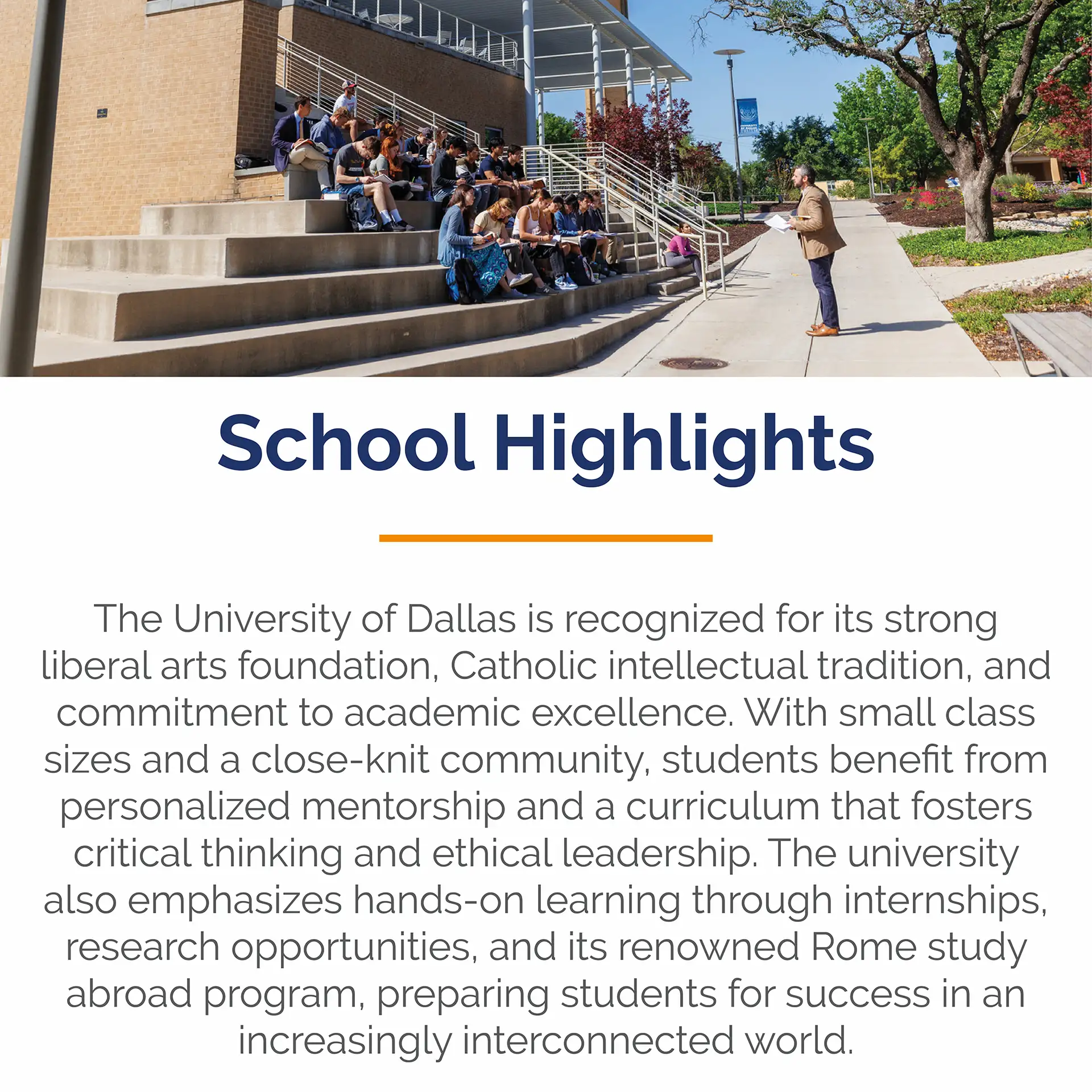 Dallas Mobile Slider-2